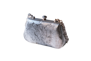 Elegant, light gray snake skin clutch bag with metal accents.  A  small,  oval-shaped purse with a  chain strap