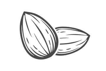 Almond Nuts Pair in Gray Outline on White, Isolated Minimalist Style Drawing