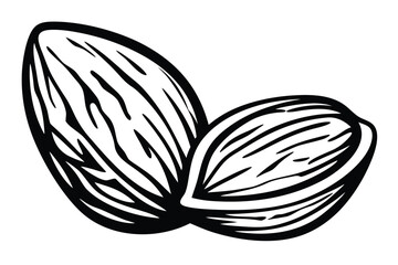 Almond Nuts Duo Black and White on White Background
