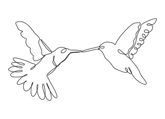 Obraz premium Continuous one line drawing of couple Humming bird vector illustration.