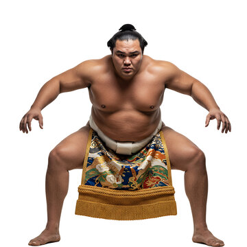 sumo wrestler in shiko stance, traditional attire, isolated background