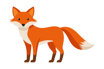 Obraz premium beautiful fox