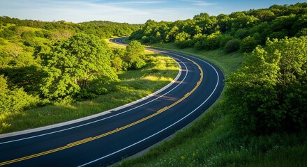 Fototapeta premium Winding Asphalt Road Through Green Forest Landscape on Sunny Day