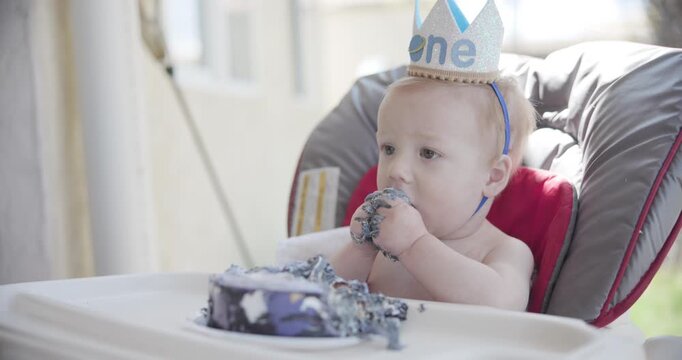 Babys 1st Birthday With Cake1