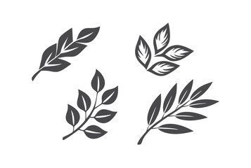 Minimalist Leaves Design on White Background Fresh Nature Elegant Decor