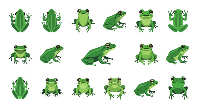 A collection of stylized green frogs depicted in various poses, including top, side, and front views.