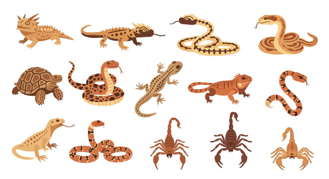 A diverse collection of stylized desert animals, featuring various lizards, snakes, a tortoise, and scorpions in cartoon vector style.
