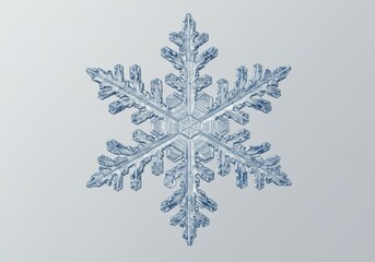 Intricate hexagonal snowflake crystal showcasing delicate icy branches against a soft pale background