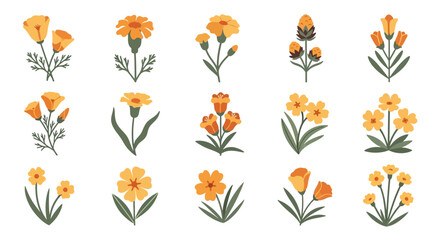 Obraz premium Set of isolated orange and yellow wildflowers in a flat, minimalist vector style.