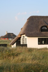 traditional danish cottage