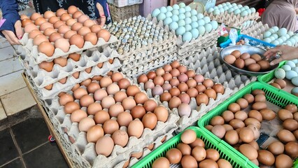 An assortment of brown chicken eggs and blue duck eggs displayed in cartons, offering a variety of choices for consumers.