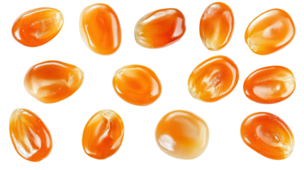 Set of macron kernel corn with golden yellow grains and natural husk details isolated on white background
