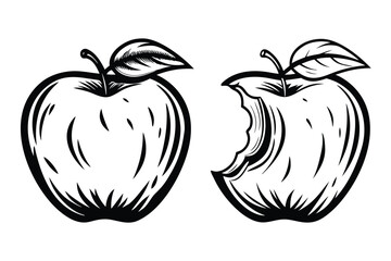 Outline apples, whole and bitten, black stroke and line details, white background