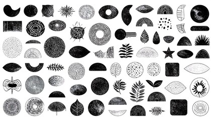 Black and White Textured Shapes: Abstract Botanical and Geometric Elements