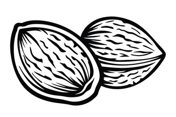 Two Almonds Nut Outline Isolated on White Background Food Design Elements