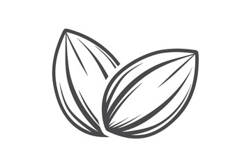 Outline Almonds Art Food Ingredient Healthy Snack Vegan on White Background