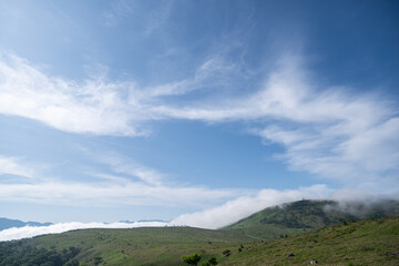 Fototapeta premium 爽やかな夏の高原 霧ヶ峰