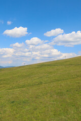 Fototapeta premium ​A light green grassy hill stretches under a bright blue sky adorned with a few fluffy white clouds. The vast, open space creates a sense of peace and freedom in a rural setting.