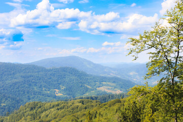 Fototapeta premium Forested mountains under a bright blue sky with white clouds create a picturesque landscape. A tree in the foreground adds volume to the composition, highlighting the majesty of nature.
