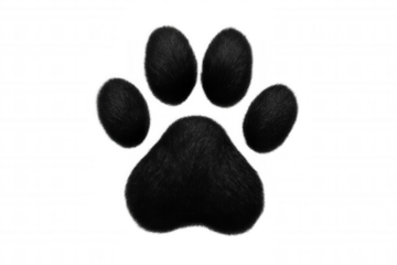 3d rendered black furry paw print, symbolizing playful animal character against transparent backdrop, suggesting pet or wildlife motif
