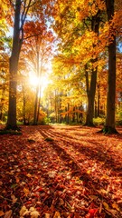 Obraz premium Autumn sunbeams in a colorful forest