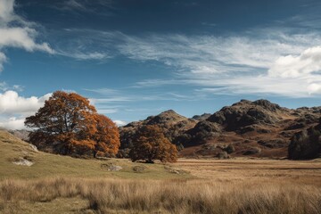 Autumnal landscape with colorful trees and mountains