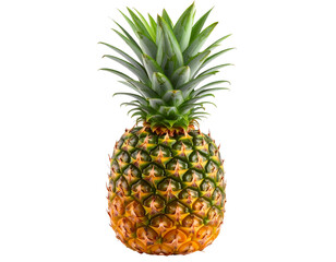 Obraz premium pineapple on white background