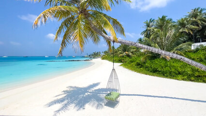 palm trees on the beach