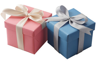 Obraz premium two gift boxes: pink and blue presents with ribbons
