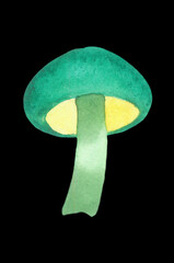 green mushroom watercolor design element