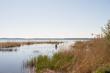 Serene river landscape with lush reeds and clear sky