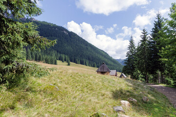 Mountain Pasture with Old Cabins