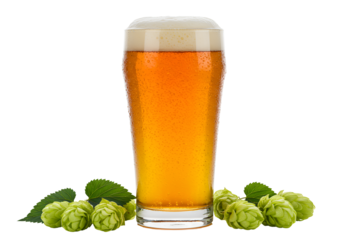 Refreshing cold beer in a glass with hop cones and leaves for a perfect summer drink