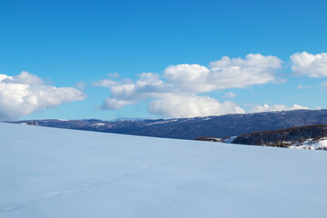 Obraz premium A field covered with white snow, a hill with winter trees in the background, blue sky and white clouds