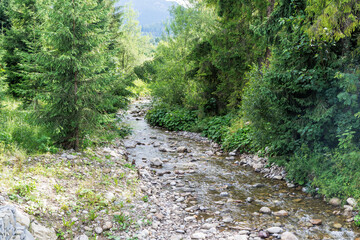  A Clear Mountain Stream