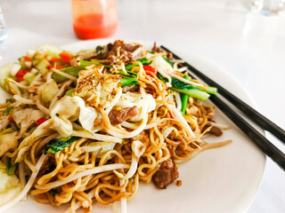 Delicious Stir-fried Noodles with Beef and Vegetables Asian Cuisine Meal