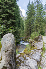 Mountain Stream and Rocky Bank