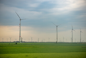 Fototapeta premium Wind Turbines in a Green Field