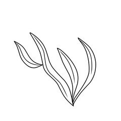 seaweed outline