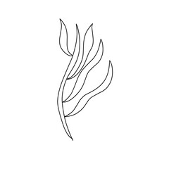 seaweed outline