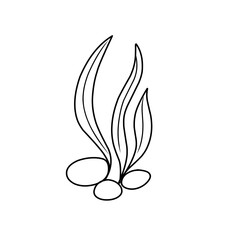 seaweed outline
