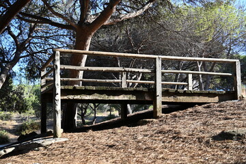 balkon drewniany pomost widokowy w parku gołe drewno © Miroslaw