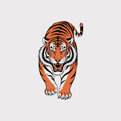 tiger vector illustration