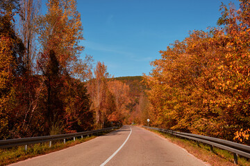Autumn colored trees and countryside landscape scenery.