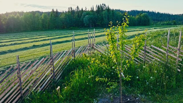 Traditional Fence (Skigard) In Rural Norway - Drone Shot