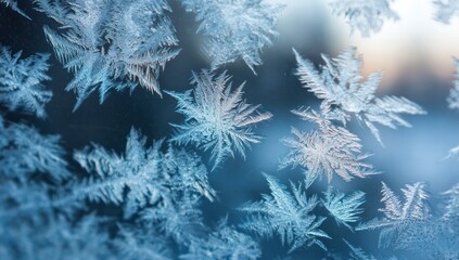 Intricate frost patterns on a windowpane.
