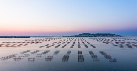 Oyster tables on the Thau lagoon in front of Mont Saint Clair, at sunrise. © FredP