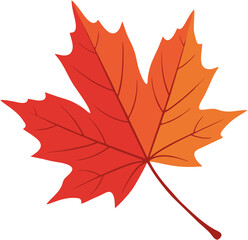 Obraz premium Maple Leaf Auntum-3.eps
