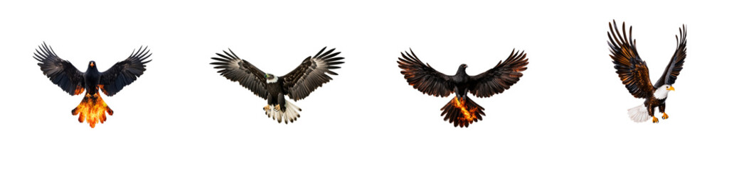 Obraz premium Four majestic eagles with wings spread against a black background, cut out transparent