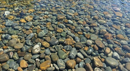 Riverbed with many smooth rounded rocks underwater in shallow clear water.